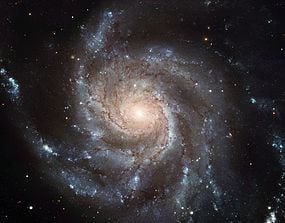 Stellar Accelerations and Dark Matter